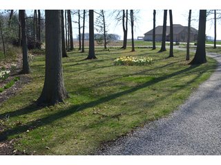 Property photo 20 - East Allen County Real Estate Auction